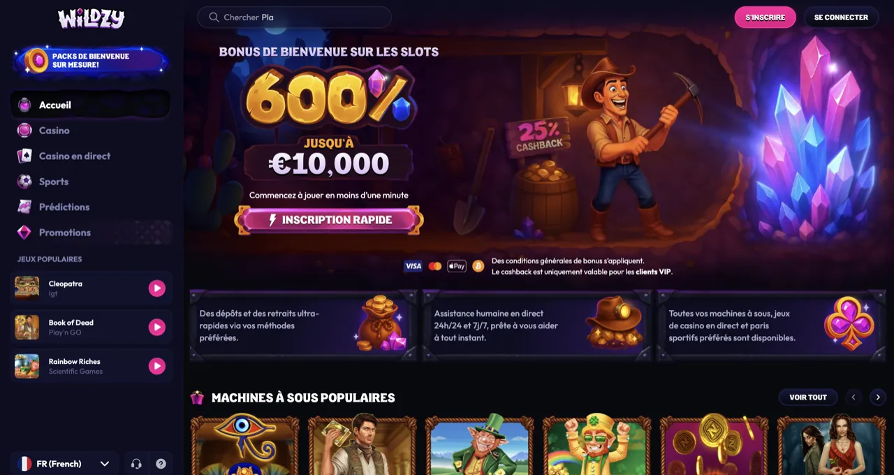 Aperçu du casino Wildzy, retrait crypto rapide